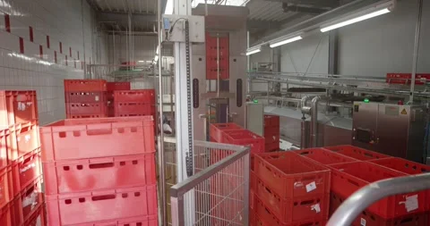 Stacked red plastic crates beside stainless steel machinery in a bright food Stock Footage 340001718