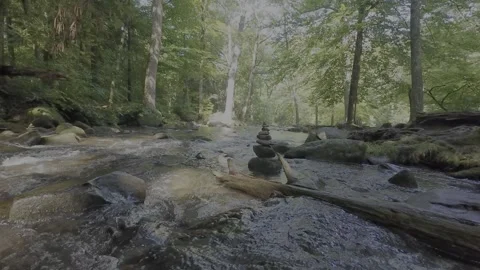 Stacked Rocks in a Peaceful Forest Stream Flowing Through Great Smoky Mountains Stock Footage 342287010