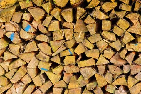 Stacked up stack of wood for drying Foto stock