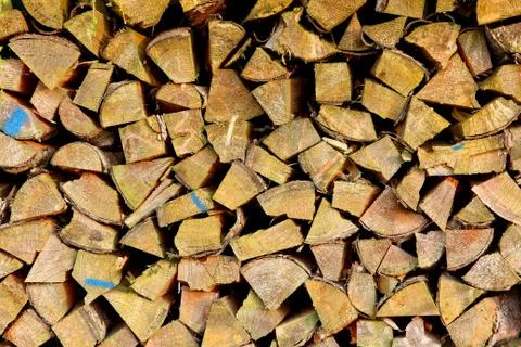 Stacked up stack of wood for drying Foto stock