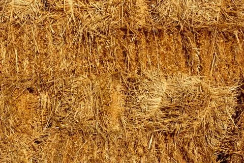 Stacked straw bales Stock Photos