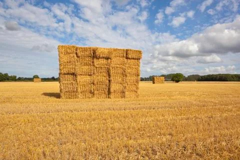Stacked straw bales Foto stock