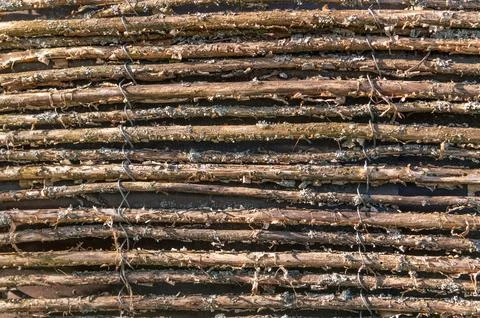 Stacked thin branches tied in rustic woven fence pattern Stock Photos
