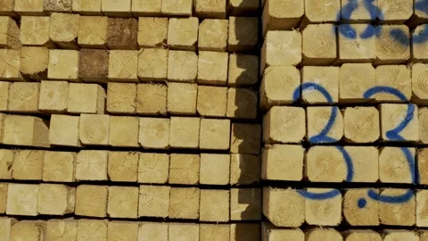 Stacked Timber Beams - Side Walking Shot Along Lumber, Blue Spray Markings Stock Footage 344415611