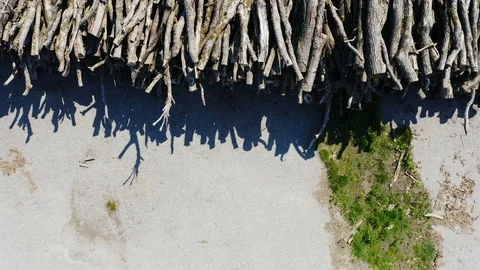 Stacked timber Stock Footage 108484204