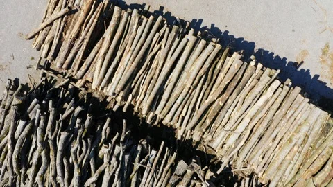 Stacked timber Stock Footage 108484213