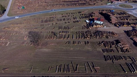 Stacked timber logs from above Stock Footage 330044997