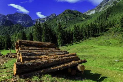 Stacked timber logs in alpine landscape with forest and mountains Stock Photos