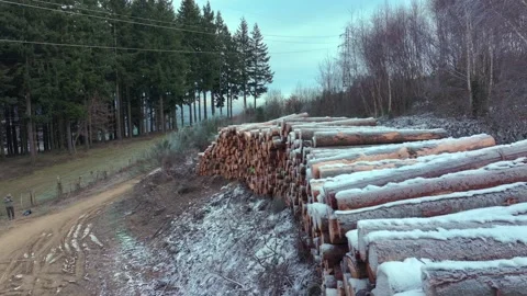 Stacked Timber Logs Covered with Snow in Winter Forest Stock Footage 328831473