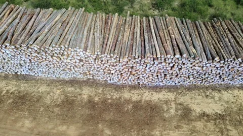 Stacked Timber Logs at Lumber Yard Stock Footage 334902030