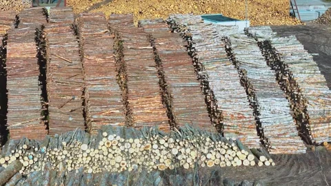Stacked timber logs organized by type in industrial lumber yard – aerial Vídeo Stock 312101835