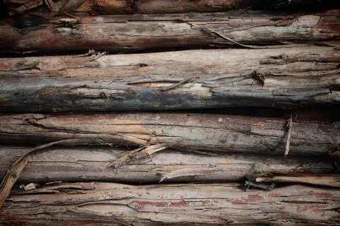 Stacked timber logs Stock Photos