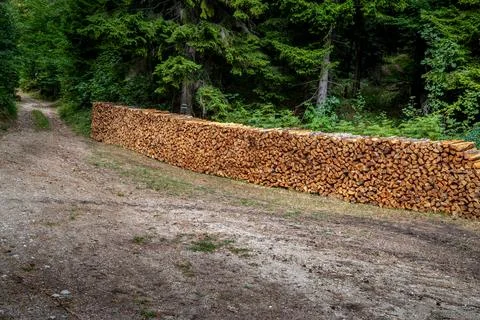 Stacked timber by the trail. Stock Photos