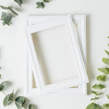 Stacked white border frames with green leaves twig white backdrop Stock Photos