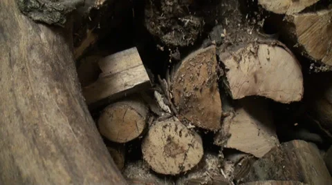 Stacked Wood 4 Stock Footage 35999804
