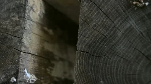 Stacked Wood Push In Stock Footage 11238462