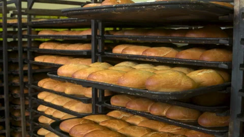 Stacking baked bread in a bakery Stock Footage 257321244