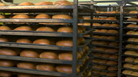 Stacking baked bread in a bakery Stock Footage 257321304