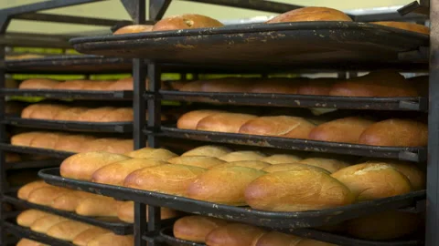 Stacking baked bread in a bakery Stock Footage 257321522