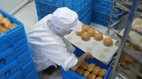 Stacking Bread Buns In Crates in Bakery Stock Footage 51343293