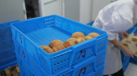 Stacking Bread Buns In Crates Stock Footage 51343287