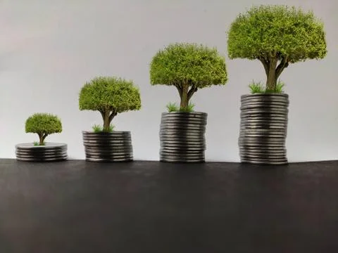 Stacking coins increasing trend and money tree growing with morning sunlight 스톡 사진