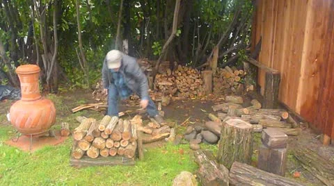 Stacking Fire Wood Timelapse Stock Footage 10886886