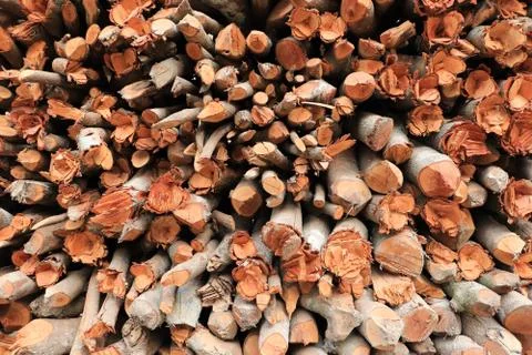 Stacking of firewood for abstract background Stock Photos