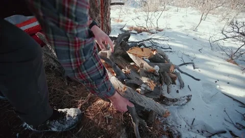 Stacking firewood for a fire Stock Footage 169921357