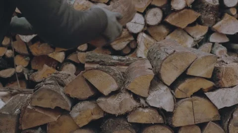 Stacking firewood Stock Footage 267840785