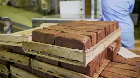 Stacking freshly baked bread in wooden crates at bakery Stock Footage 301277715