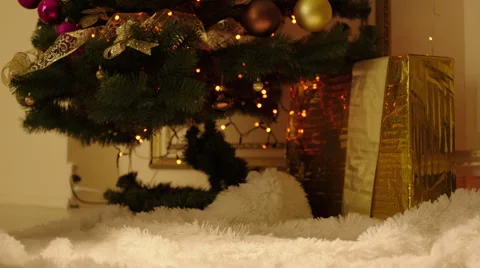 Stacking Gift Boxes by the Christmas Tree Stock Footage 57749331