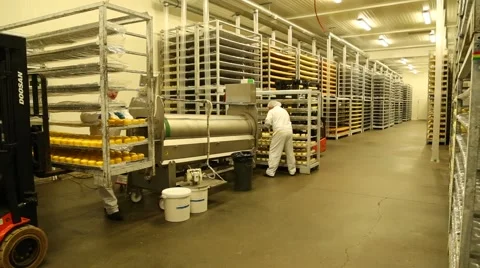 Stacking hard cheese on the shelves Stock-Footage 46225807