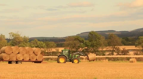 Stacking Hay Bales Stock Footage 41640383