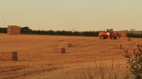 Stacking Hay Bales Stock Footage 41645178