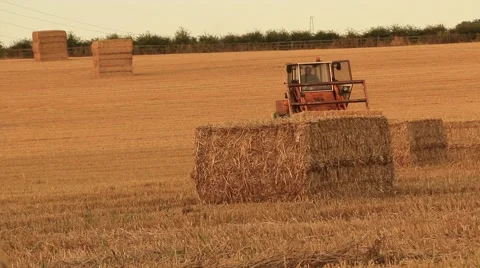 Stacking Hay Bales 動画素材 41697624