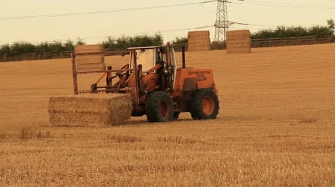 Stacking Hay Bales Stock Footage 41698054