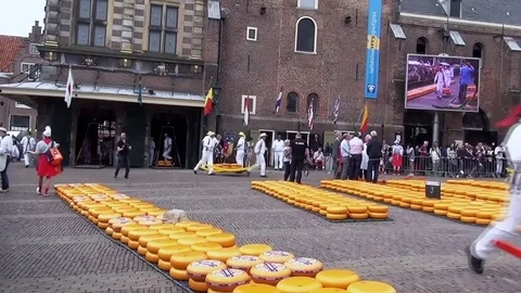 Stacking the sold cheeses on the berries Stock Footage 83919983