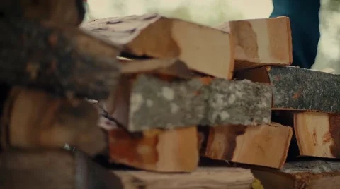Stacking wood logs in the autumn. Preparing for winter. Stock Footage 68734641