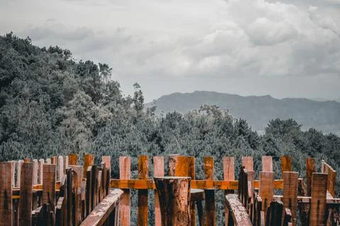 Stacking wood Stock Photos