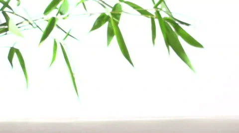 Stacking Zen rocks against bamboo background - HD Stock Footage 572359