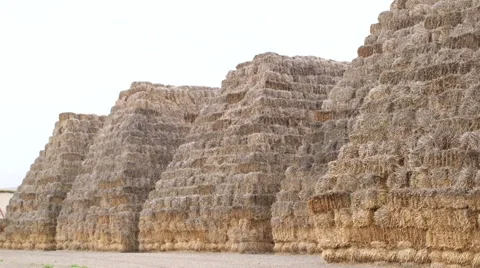 Stacks of bales at the field Stock Footage 50305842