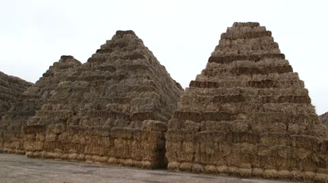 Stacks of bales at the field Video stock 50306004