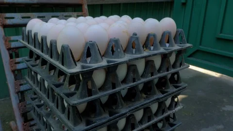 Stacks of black plastic egg flats full of eggs sitting next to door of Stock Footage 121907331