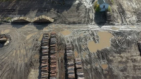 Stacks chopped tree logs in sawmill, aerial view Video stock 119477830