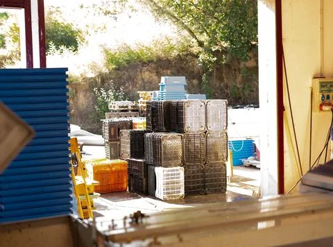Stacks of empty fruit boxes Stock Photos