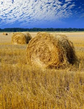 Stacks in the field Stock Photos