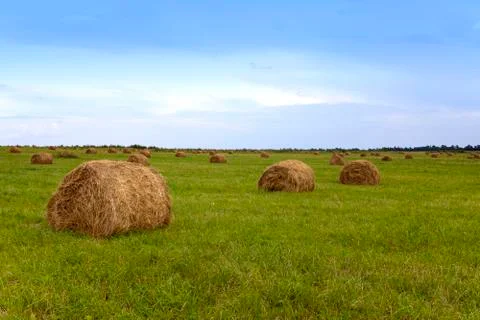Stacks in the field Stock Photos
