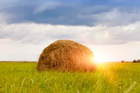 Stacks in the field Stock Photos