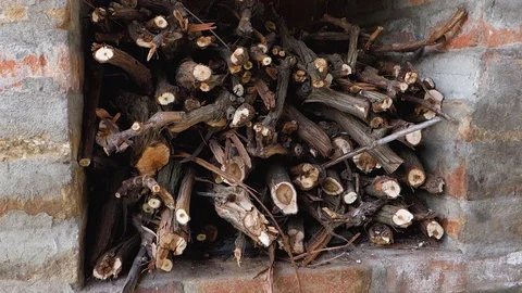 Stacks of firewood. A bunch of branches prepared for cooking kebab. Video stock 127589451
